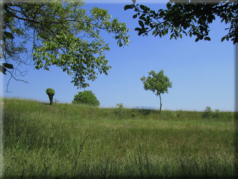 foto Paesaggi Collinari in Primavera